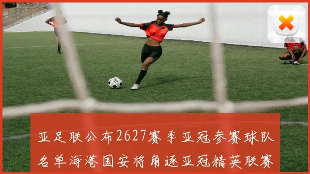亚足联公布2627赛季亚冠参赛球队名单海港国安将角逐亚冠精英联赛