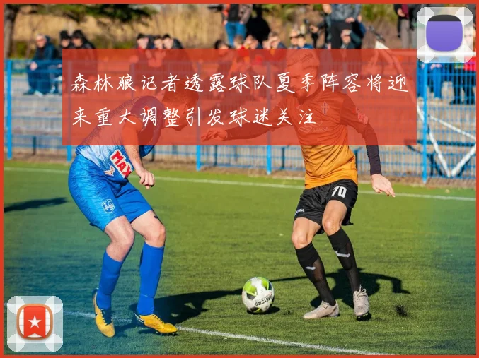 森林狼记者透露球队夏季阵容将迎来重大调整引发球迷关注